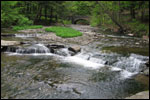 Letchworth - Matt Jacobson